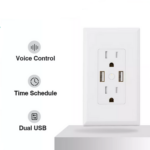 Gosund WO2 USB Charger WIFI Smart Wall Outlet Dual USB Wireless Remote Control Work With Alexa Google Smart Wall Socket Outlet ***** ** *