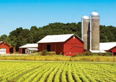 Agriculture and Farming (AAF)